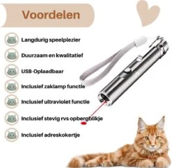 Laserpen - USB - Kattenspeeltjes - Zaklamp - Kat - Laser - Kattenspeelgoed - RVS Opbergblikje -Kattenbenodigdheden 1200x1175 8