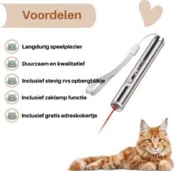 Laserpen - Kattenspeeltjes - Zaklamp - Kat - Laser - Kattenspeelgoed - RVS Opbergblikje -Kattenbenodigdheden 1200x1175 9