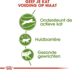 Royal Canin Outdoor - Kattenvoer - 10 Kg -Kattenbenodigdheden 1200x1177 6
