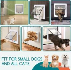 Nobleza Kattenluik Met Tunnel - 4 Vergrendelingsstanden - Weerbestendig - Binnen En Buiten - 20.5 X 19.7 Cm - Maat M - Wit -Kattenbenodigdheden 1200x1179 4