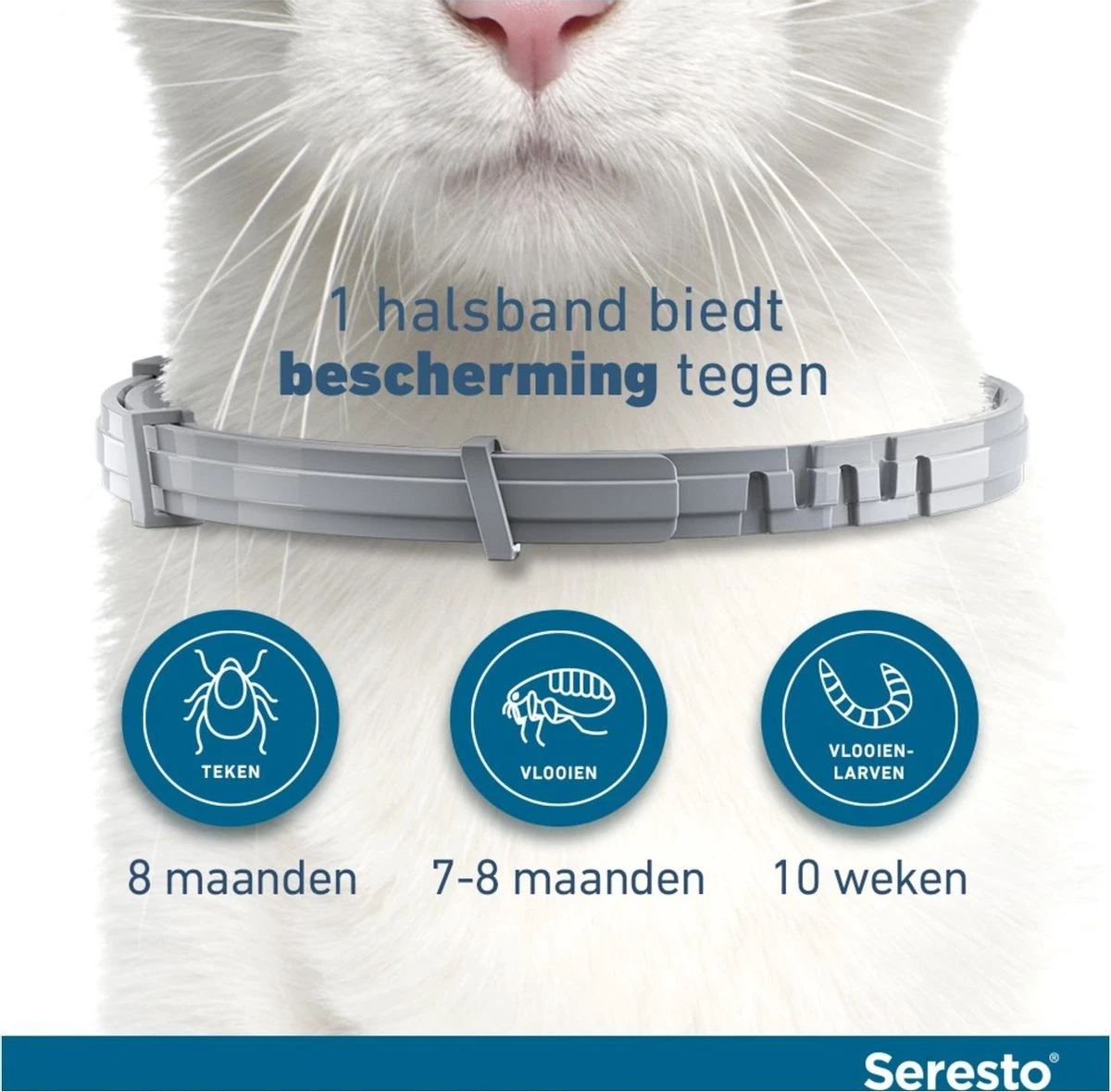 Seresto Teken- En Vlooienband - Anti Tekenmiddel - Kat - 38 Cm 15 Seresto Teken- En Vlooienband - Anti Tekenmiddel - Kat - 38 Cm - Afbeelding 13