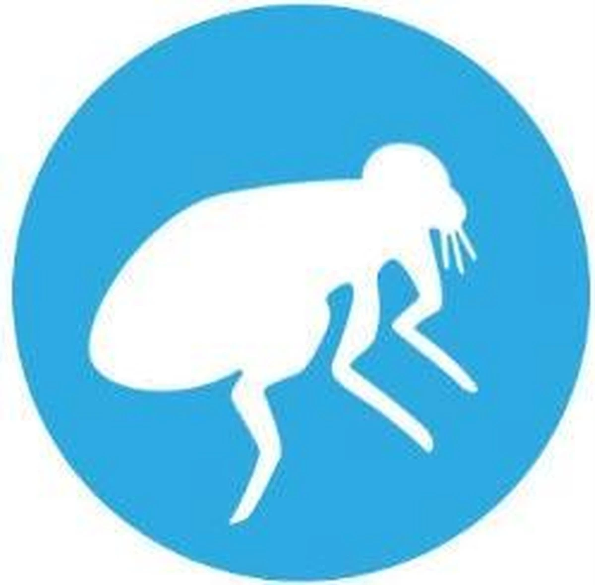 Bayer Bolfo Gold 40 Anti Vlooienmiddel - Kat - 0 Tot 4 Kg - 4 Pipetten 7 Bayer Bolfo Gold 40 Anti Vlooienmiddel - Kat - 0 Tot 4 Kg - 4 Pipetten - Afbeelding 5