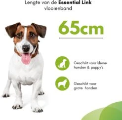 Essential Link Teken- En Vlooienband - Vlooienband Kat/Hond – Anti Vlooien – Vlooienmiddel - Tekenband - Diervriendelijk 14 Essential Link Teken- En Vlooienband - Vlooienband Kat/Hond – Anti Vlooien – Vlooienmiddel - Tekenband - Diervriendelijk -Kattenbenodigdheden 1200x1181 1