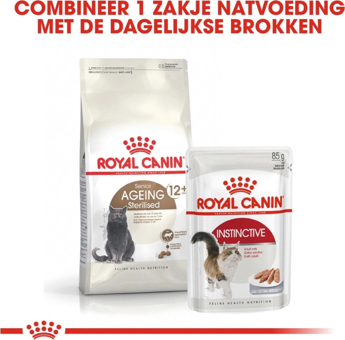 Royal Canin Ageing Sterilised 12+ - Kattenvoer - 2 Kg 9 Royal Canin Ageing Sterilised 12+ - Kattenvoer - 2 Kg - Afbeelding 7
