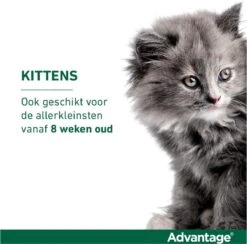 Bayer Advantage 40 Tegen Vlooien - <4kg - 4 X 0,4 Ml - Adult 35 Bayer Advantage 40 Tegen Vlooien - <4kg - 4 X 0,4 Ml - Adult -Kattenbenodigdheden 1200x1183