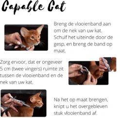 Capable Cat Vlooienband Kat | Vlooien | Luizen | Teken | Mijten | 8 Maanden Bescherming | Katten -Kattenbenodigdheden 1200x1186