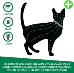 Teken- En Vlooienband Voor Katten PLUS - Natuurlijk Middel Tegen Vlooien En Teken - 100% Natuurlijk - 38,5 CM - Tot 8 Maand Werkzaam - Biologisch -Kattenbenodigdheden 1200x1188