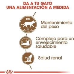 Royal Canin Ageing Sterilised 12+ - Kattenvoer - 2 Kg 23 Royal Canin Ageing Sterilised 12+ - Kattenvoer - 2 Kg -Kattenbenodigdheden 1200x1195 5