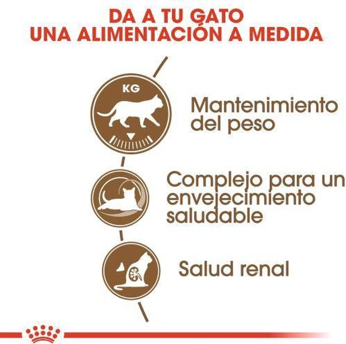 Royal Canin Ageing Sterilised 12+ - Kattenvoer - 2 Kg 8 Royal Canin Ageing Sterilised 12+ - Kattenvoer - 2 Kg - Afbeelding 6