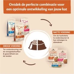 Wellness Core Grain Free Cat Original Kalkoen & Kip - Kattenvoer - 1.75 Kg -Kattenbenodigdheden 1200x1199 1