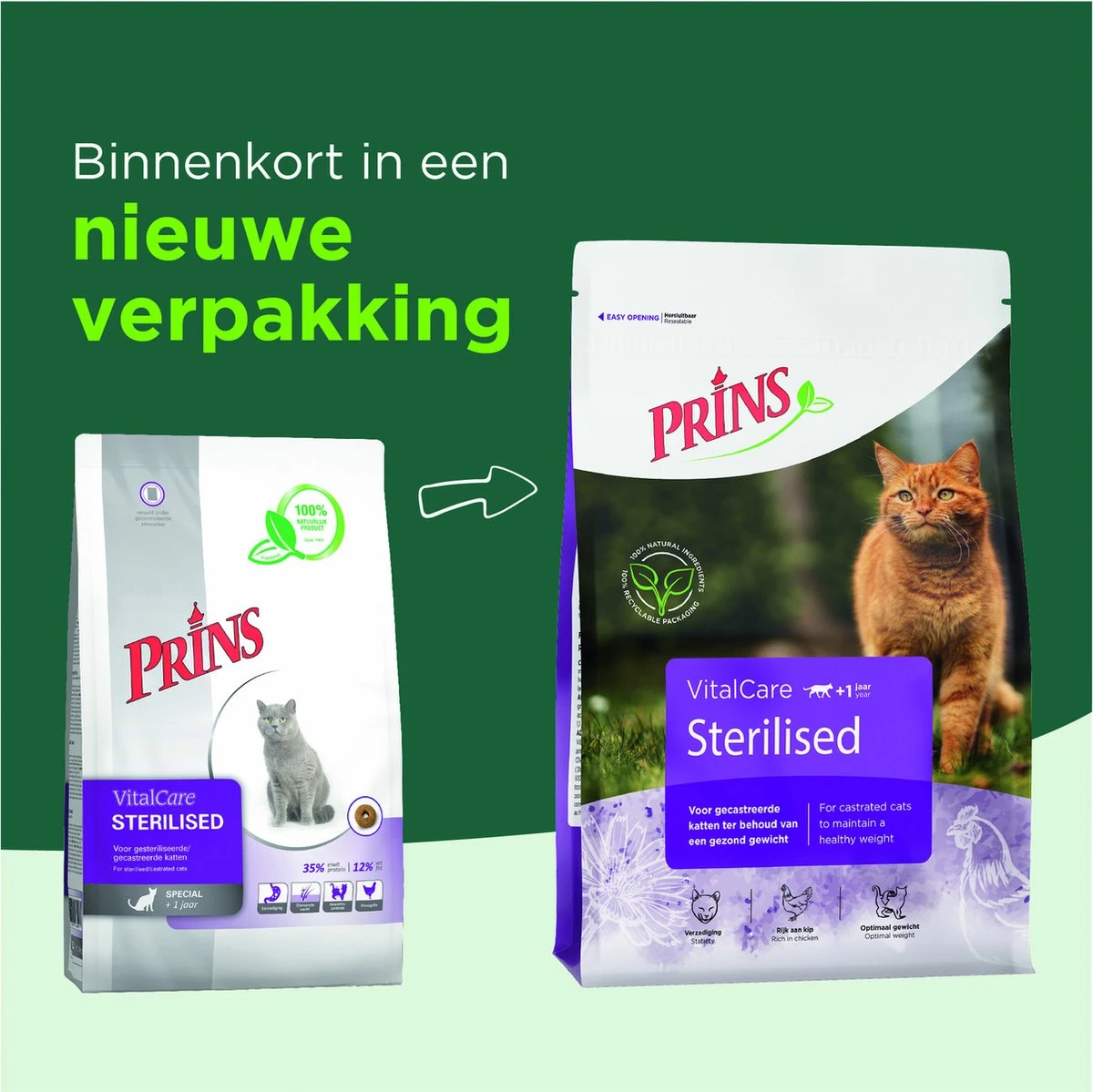 Prins VitalCare Sterilised 4 Kg - Kat 5 Prins VitalCare Sterilised 4 Kg - Kat - Afbeelding 3