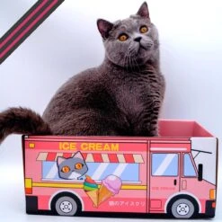 Make Me Purr Kattendoos Van Karton (Ice Cream) - Inclusief Kartonnen Krabmat - Speelgoed Doos Voor Katten Met Krab Mat - Kat Krabpaal Speeltje - Kattenbed Kattenmand Kattenhuis Kattentunnel - Kattenspeelgoed - Kattenspeeltjes - Kitten Speeltjes -Kattenbenodigdheden 1200x1200 1005