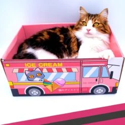 Make Me Purr Kattendoos Van Karton (Ice Cream) - Inclusief Kartonnen Krabmat - Speelgoed Doos Voor Katten Met Krab Mat - Kat Krabpaal Speeltje - Kattenbed Kattenmand Kattenhuis Kattentunnel - Kattenspeelgoed - Kattenspeeltjes - Kitten Speeltjes -Kattenbenodigdheden 1200x1200 1006