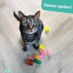 Moowi - Springveren 30 Stuks - Kat - Kattenveertjes - Kattenspeelgoed 9 Moowi - Springveren 30 Stuks - Kat - Kattenveertjes - Kattenspeelgoed -Kattenbenodigdheden 1200x1200 1014