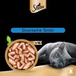 Sheba Filets - Katten Natvoer In Saus - Tonijn En Kip - 16 X 60 Gr 7 Sheba Filets - Katten Natvoer In Saus - Tonijn En Kip - 16 X 60 Gr -Kattenbenodigdheden 1200x1200 107