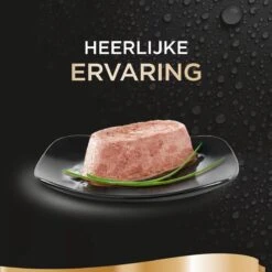 Sheba Perfect Portions Paté Katten Natvoer - Zalm - 48 Stuks 15 Sheba Perfect Portions Paté Katten Natvoer - Zalm - 48 Stuks -Kattenbenodigdheden 1200x1200 127
