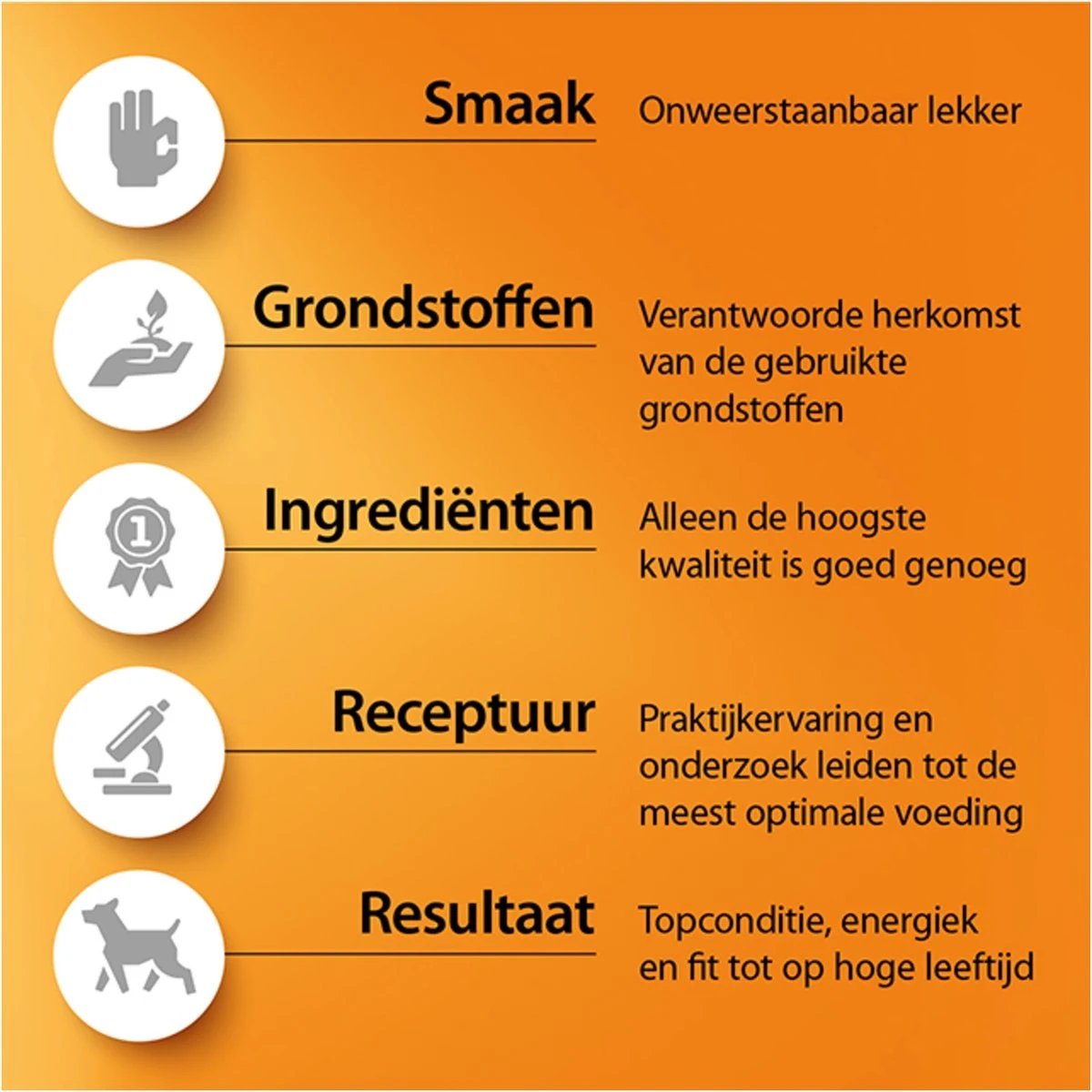 Fokker Country Balance - Wild En Gevogelte - Kattenvoer - 10 Kg 5 Fokker Country Balance - Wild En Gevogelte - Kattenvoer - 10 Kg - Afbeelding 3