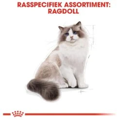 Royal Canin Ragdoll Adult - Kattenvoer - 10 Kg -Kattenbenodigdheden 1200x1200 177