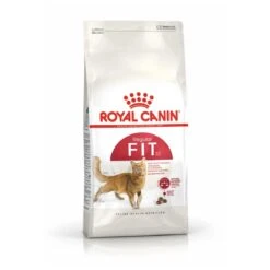Royal Canin Fit 32 - Kattenvoer - 10 Kg