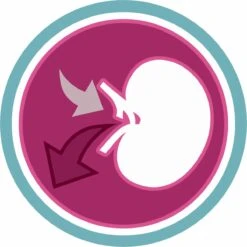 Purina ONE Urinary Care - Kip - Kattenvoer - 800 G -Kattenbenodigdheden 1200x1200 185