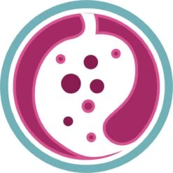 Purina ONE Urinary Care - Kip - Kattenvoer - 800 G -Kattenbenodigdheden 1200x1200 187