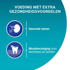 Purina ONE Senior - Kattenvoer Kip & Volkoren Granen - 3 Kg -Kattenbenodigdheden 1200x1200 205