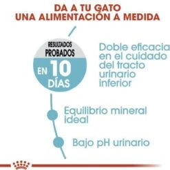 Royal Canin Urinary Care - Kattenvoer - 10 Kg -Kattenbenodigdheden 1200x1200 211