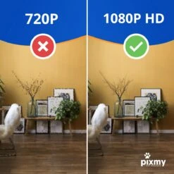 PIXMY - Automatische Voerbak Kat - 4L - Wi-Fi - Met App En Full HD Camera - Voerbak Kat -Kattenbenodigdheden 1200x1200 235