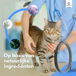 Essential Link Teken- En Vlooienband - Vlooienband Kat – Anti Vlooien – Vlooienmiddel - Tekenband - Diervriendelijk -Kattenbenodigdheden 1200x1200 24