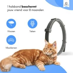 Essential Link Teken- En Vlooienband - Vlooienband Kat – Anti Vlooien – Vlooienmiddel - Tekenband - Diervriendelijk -Kattenbenodigdheden 1200x1200 25