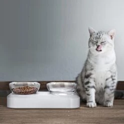 Behave Dubbele Voerbak - Drinkbak - Katten - Verstelbaar - Wit 12 Behave Dubbele Voerbak - Drinkbak - Katten - Verstelbaar - Wit -Kattenbenodigdheden 1200x1200 262