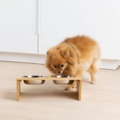 Navaris Verhoogd Dubbel Dieren Voedingsstation - 2 Kommen Voor Katten En Kleine Honden - Roestvrij Staal - Verhoogde Bamboe Standaard 12 Navaris Verhoogd Dubbel Dieren Voedingsstation - 2 Kommen Voor Katten En Kleine Honden - Roestvrij Staal - Verhoogde Bamboe Standaard -Kattenbenodigdheden 1200x1200 266