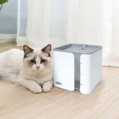 Nobleza USB Drinkfontein Voor Hond/Kat - 2L - Incl. 2 Filters - Wit -Kattenbenodigdheden 1200x1200 270