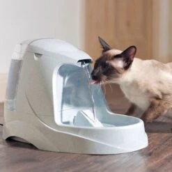 Petsafe Drinkwell Platinum - Drinkfontein - 5 L 24 Petsafe Drinkwell Platinum - Drinkfontein - 5 L -Kattenbenodigdheden 1200x1200 274