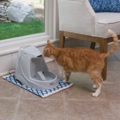 Petsafe Drinkwell Platinum - Drinkfontein - 5 L 25 Petsafe Drinkwell Platinum - Drinkfontein - 5 L -Kattenbenodigdheden 1200x1200 275