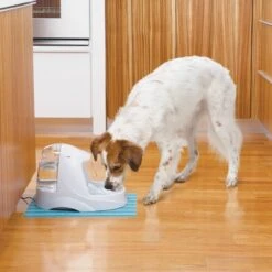 Petsafe Drinkwell Platinum - Drinkfontein - 5 L 30 Petsafe Drinkwell Platinum - Drinkfontein - 5 L -Kattenbenodigdheden 1200x1200 276