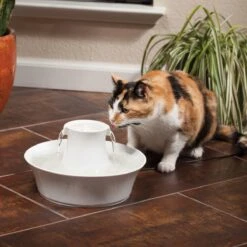 Petsafe Drinkwell Ceramic Avalon - Drinkfontein - 2 L 17 Petsafe Drinkwell Ceramic Avalon - Drinkfontein - 2 L -Kattenbenodigdheden 1200x1200 281