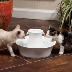 Petsafe Drinkwell Ceramic Avalon - Drinkfontein - 2 L 19 Petsafe Drinkwell Ceramic Avalon - Drinkfontein - 2 L -Kattenbenodigdheden 1200x1200 282