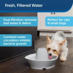PetSafe® Streamside Ceramic Pet Fountain - Keramische Drinkfontein Voor Katten En Kleine Honden - Water Borrelt Zacht Over De Toren - Door Het Design Van Alle Kanten Bereikbaar - 1,8 Liter - PetSafe Streamside 13 PetSafe® Streamside Ceramic Pet Fountain - Keramische Drinkfontein Voor Katten En Kleine Honden - Water Borrelt Zacht Over De Toren - Door Het Design Van Alle Kanten Bereikbaar - 1,8 Liter - PetSafe Streamside -Kattenbenodigdheden 1200x1200 285