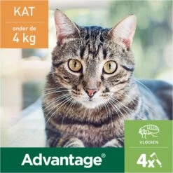 Bayer Advantage 40 Tegen Vlooien - <4kg - 4 X 0,4 Ml - Adult 27 Bayer Advantage 40 Tegen Vlooien - <4kg - 4 X 0,4 Ml - Adult -Kattenbenodigdheden 1200x1200 29