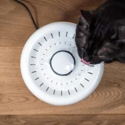 TrevoPet® Drinkfontein Kat - Waterfontein Kat - Kattenfontein - Fluisterstil - Drinkfontein - Drinkbak Kat - 2.5 Liter - Inclusief Filter - Wit 18 TrevoPet® Drinkfontein Kat - Waterfontein Kat - Kattenfontein - Fluisterstil - Drinkfontein - Drinkbak Kat - 2.5 Liter - Inclusief Filter - Wit -Kattenbenodigdheden 1200x1200 299