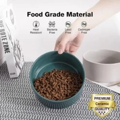 GIZMO 2x Voerbak Kat - 400 Ml - Groen - Keramische Drink- & Voerbakken Met Standaard - 13 Cm - 2 Stuks -Kattenbenodigdheden 1200x1200 302