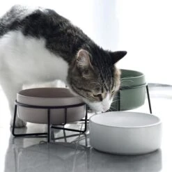 GIZMO 2x Voerbak Kat - 400 Ml - Groen - Keramische Drink- & Voerbakken Met Standaard - 13 Cm - 2 Stuks -Kattenbenodigdheden 1200x1200 305