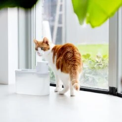 Hoopo® Agua - DRAADLOZE Waterfontein Katten - SMART Waterfontein Katten - UVC Disinfectie - 2 Liter - Automatische Katten Fontein -Kattenbenodigdheden 1200x1200 309