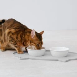 Navaris Siliconen Voederbakmat Voor Katten - Waterdichte Anti-slip Mat Voor Voerbak En Waterbak - 50x32 Cm - In Grijs Kattendesign -Kattenbenodigdheden 1200x1200 313