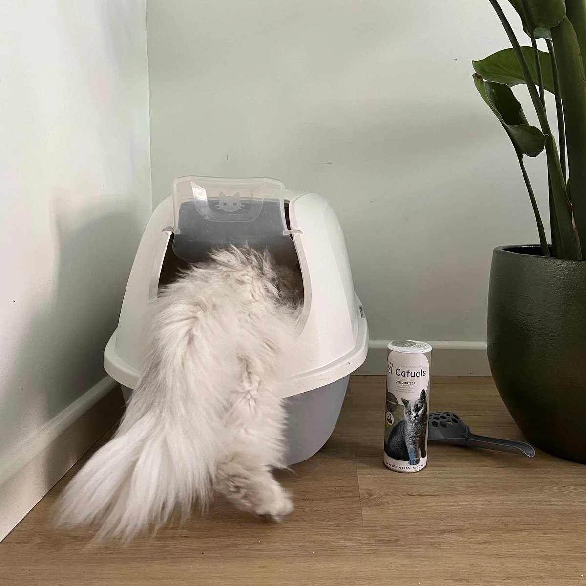 Catuals Kattenbakvulling Geurverdrijver - Neutraliseert Urinegeur Van Katten - Cotton Fresh - 500g 6 Catuals Kattenbakvulling Geurverdrijver - Neutraliseert Urinegeur Van Katten - Cotton Fresh - 500g - Afbeelding 4