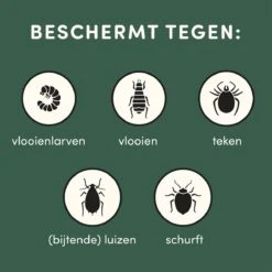 3 Stuks Vlooienband Kat Tekenband - 100% Natuurlijk Veilig En Waterbestendig -Kattenbenodigdheden 1200x1200 35