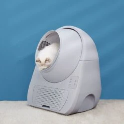 Catlink Smart Litter Box - Scooper Young - Zelfreinigende Kattenbak Zonder Wifi - Kleur Grijs -Kattenbenodigdheden 1200x1200 353
