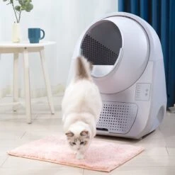 Catlink Smart Litter Box - Scooper Young - Zelfreinigende Kattenbak Zonder Wifi - Kleur Grijs -Kattenbenodigdheden 1200x1200 355
