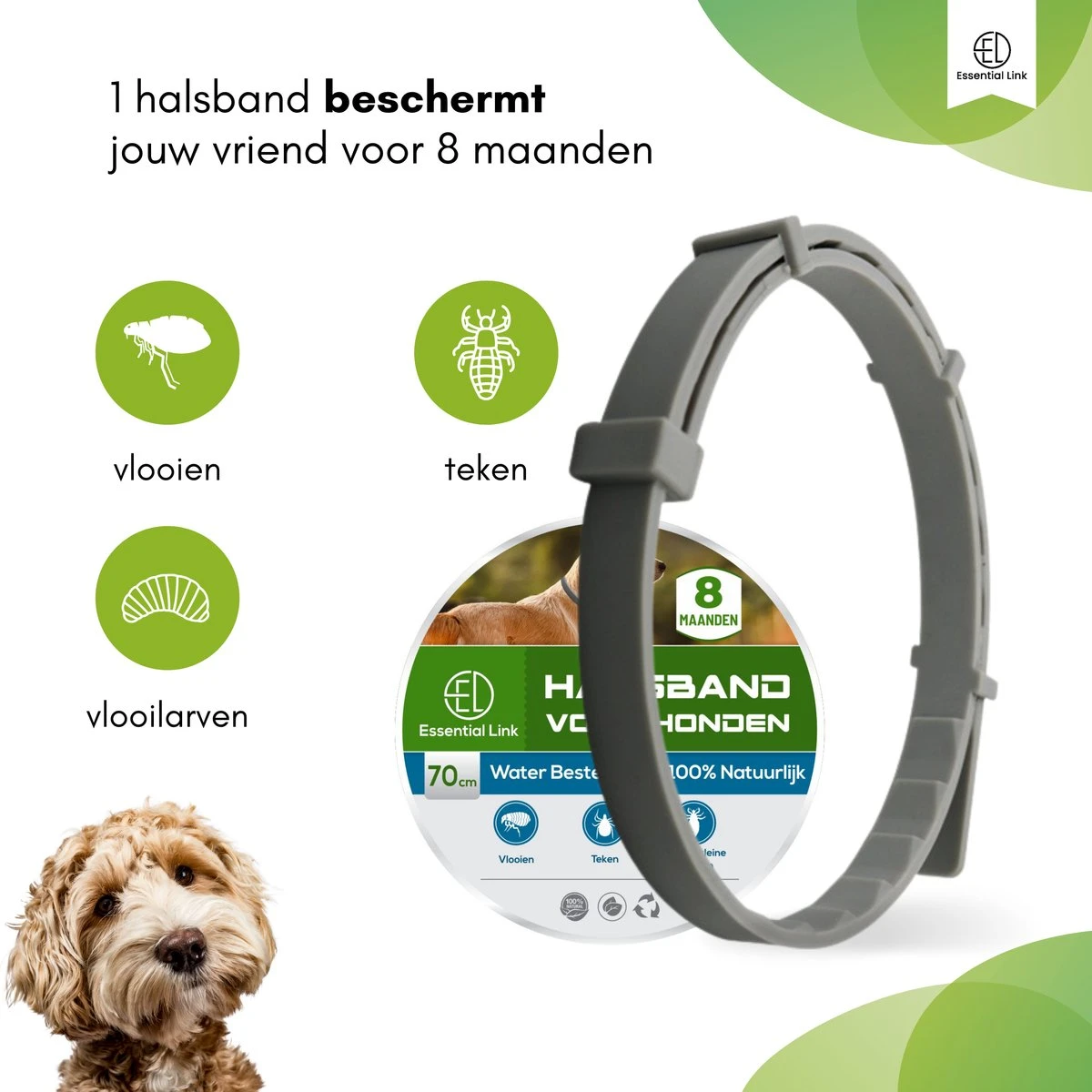 Essential Link Teken- En Vlooienband - Vlooienband Kat/Hond – Anti Vlooien – Vlooienmiddel - Tekenband - Diervriendelijk 5 Essential Link Teken- En Vlooienband - Vlooienband Kat/Hond – Anti Vlooien – Vlooienmiddel - Tekenband - Diervriendelijk - Afbeelding 3
